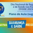 DNSSE 2025 - Plano de Aula (sugestão de roteiro)