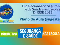 DNSSE 2025 - Plano de Aula (sugestão de roteiro)