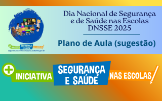 DNSSE 2025 - Plano de Aula (sugestão de roteiro)