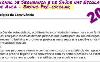 Plano de Aula Pré-Escolar 2024